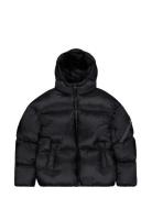 Cloud Puffer Bomber Alpha Industries Black