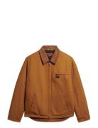 Cotton Canvas Ranch Jkt Superdry Brown