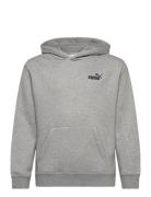 Ess Small No. 1 Logo Relaxed Hoodie Fl B PUMA Grey