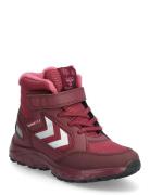 Explorer Tex Hummel Burgundy