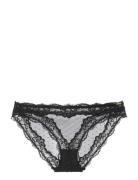 Origins-Shimmer Dot Mesh Brief Dorina Brown