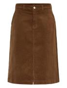 Frtean Sk 3 Fransa Brown