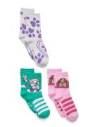 Socks Paw Patrol Patterned