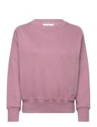 Raglan Crew Sws Lee Jeans Pink