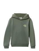 Small Monogram Hoodie Calvin Klein Green