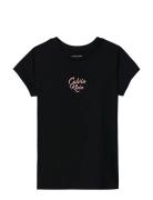Script Logo Graphic Ss T-Shirt Calvin Klein Black