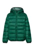 Hooded Jacket Champion Green