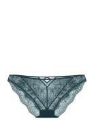 Jemma Brief Dorina Green