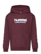 Hmljr Logo Hoodie Hummel Burgundy