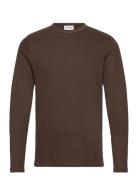 Basic O-Neck Tee L/S Lindbergh Brown