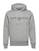 Core Tommy Logo Hoody Tommy Hilfiger Grey
