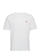 M Ss Mapleton Tee Dickies White