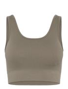 Soft Rib Seamless Crop Top Moonchild Yoga Wear Khaki