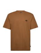 M Summerdale Ss Tee Dickies Brown