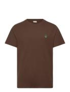 Sdreginald Solid Brown