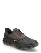 Men Respected Tanzier Skechers Brown