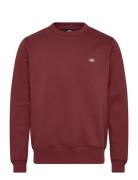 Oakport Sweatshirt Dickies Burgundy