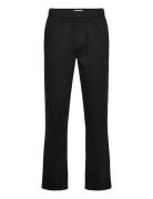 Sdliam Elas. Solid Black