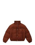 Rider Puffer Jacket Lee Jeans Brown