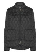 Aros06 Ilse Jacobsen Black