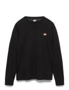 Mapleton Ls Tee Dickies Black