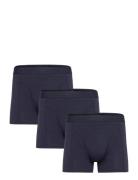 Claudio 3-Pack Tights Claudio Navy