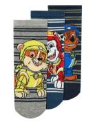 Nmmsommer Paw 3P Sock Cplg Name It Navy
