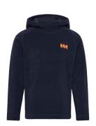 K Daybreaker Hoodie Helly Hansen Navy