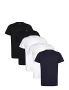 Claudio 5-Pack T-Shirt Cotton Claudio Black