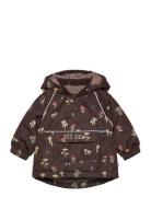 Ppdard Winter Jacket Petit Piao Brown