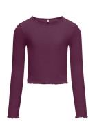 Kognella L/S O-Neck Top Jrs Noos Kids Only Purple