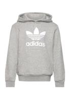 Trefoil Hoodie Adidas Originals Grey