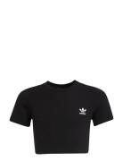 Rib Crop Tee Adidas Originals Black