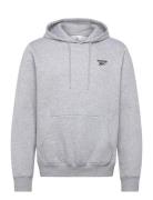 Id Small Logo Fleece Hoodie Reebok Classics Grey