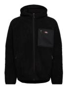M Central High Pile Hooded Dickies Black