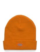 M Gibsland Beanie Dickies Orange