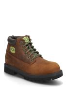 Men Sergeants Dozer Skechers Brown