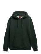 Essential Logo Hoodie Hb Superdry Green