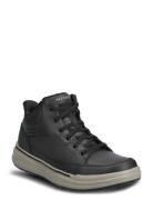 Men Sterling Skechers Black