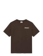 Wwliam Tee Aaneue 25220 WOOD WOOD Khaki