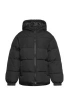 Jjmaze Puffer Hood Jnr Jack & J S Black