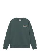 Wwjames Crew Neck Aaneue 25219 WOOD WOOD Green