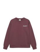 Wwjames Crew Neck Aaneue 25219 WOOD WOOD Red