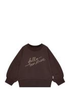 Ppdina Sweat Shirt Petit Piao Brown