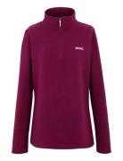 Sweethart Regatta Burgundy