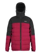 Aldthorn Regatta Burgundy