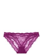 Origins Lace Brief Dorina Purple