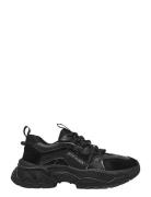 Animates-E Steve Madden Black