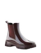 Peachy Dark Cherry Lemon Jelly Burgundy