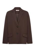 Allium Blazer A-View Brown